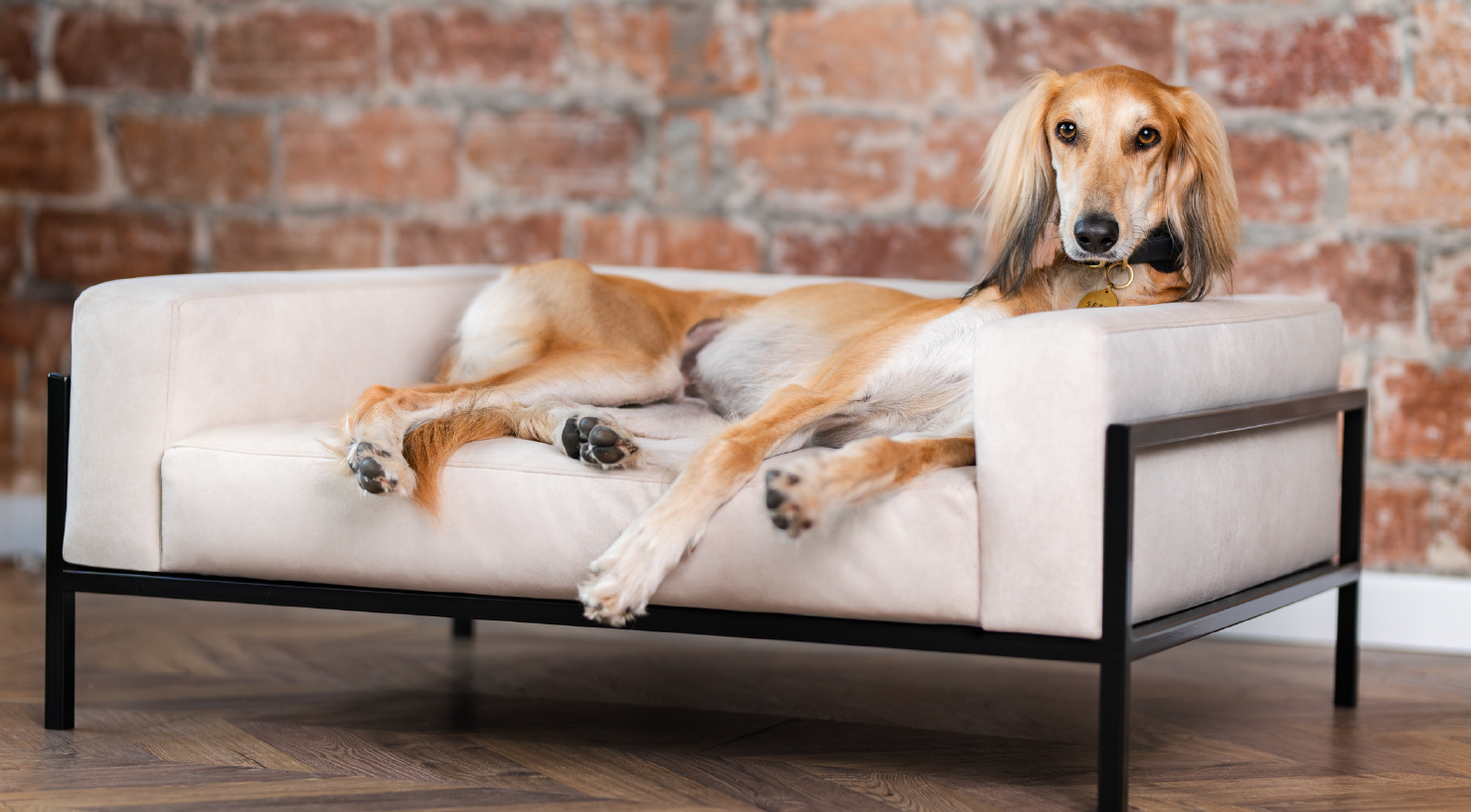 Hundesofa "Kensington"
