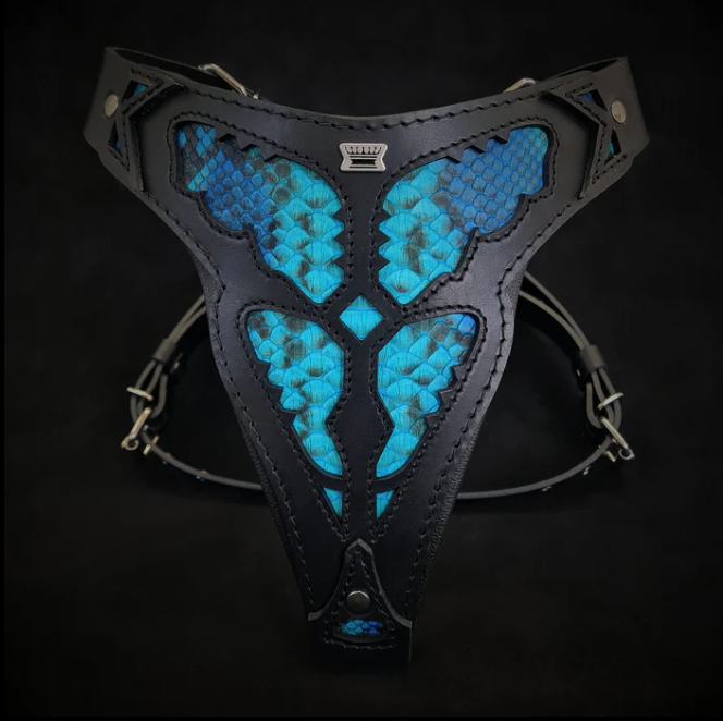 Geschirr "Python-blau" 