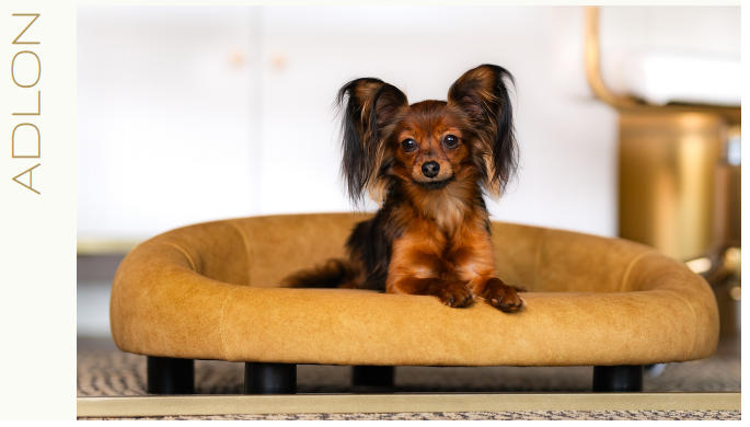 Hundebett "Adlon"