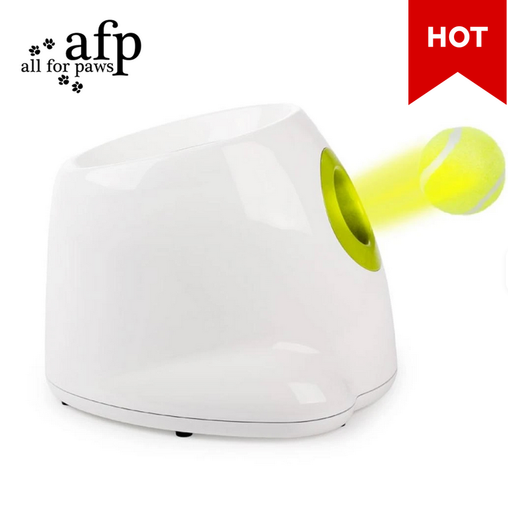 Ballwurfmaschine "MAXI"