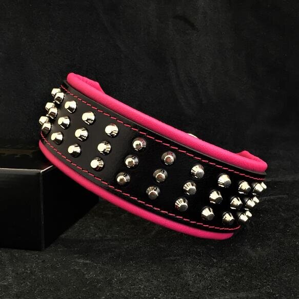 Halsband "Stud" groß