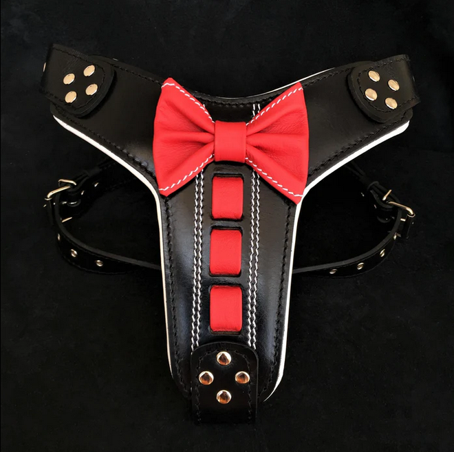 Geschirr "Bowtie"